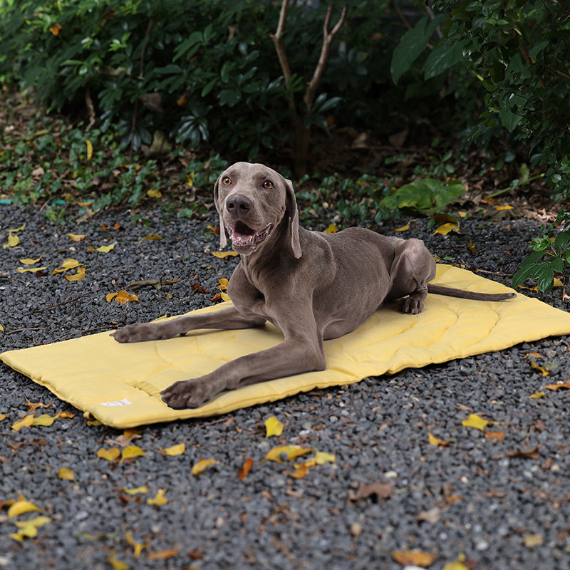 Portable Pet Mat Foldable Pet  - Outdoor Camping Rug ulasan dan harga