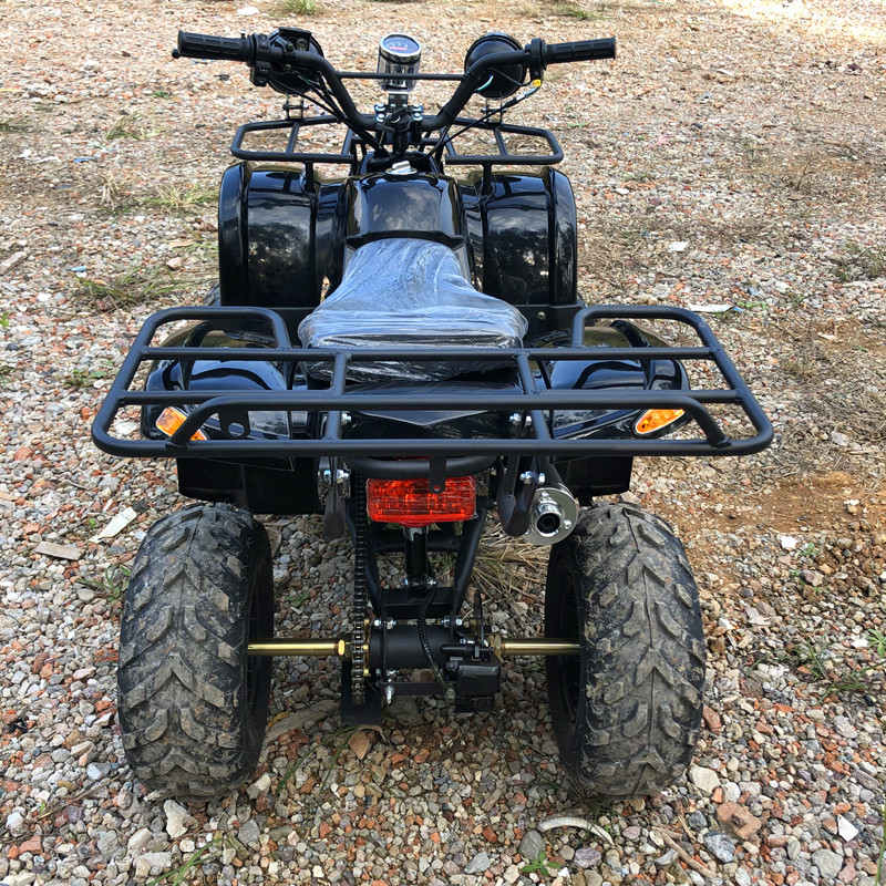 Electric 4 Seater 4WD 4-Stroke - Camping Quad ulasan dan harga